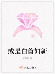 或是白首如新