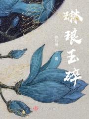 琳琅玉碎