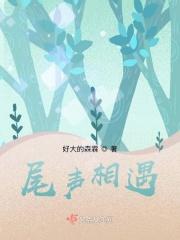 尾声相遇