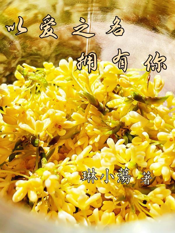 以爱之名拥有你